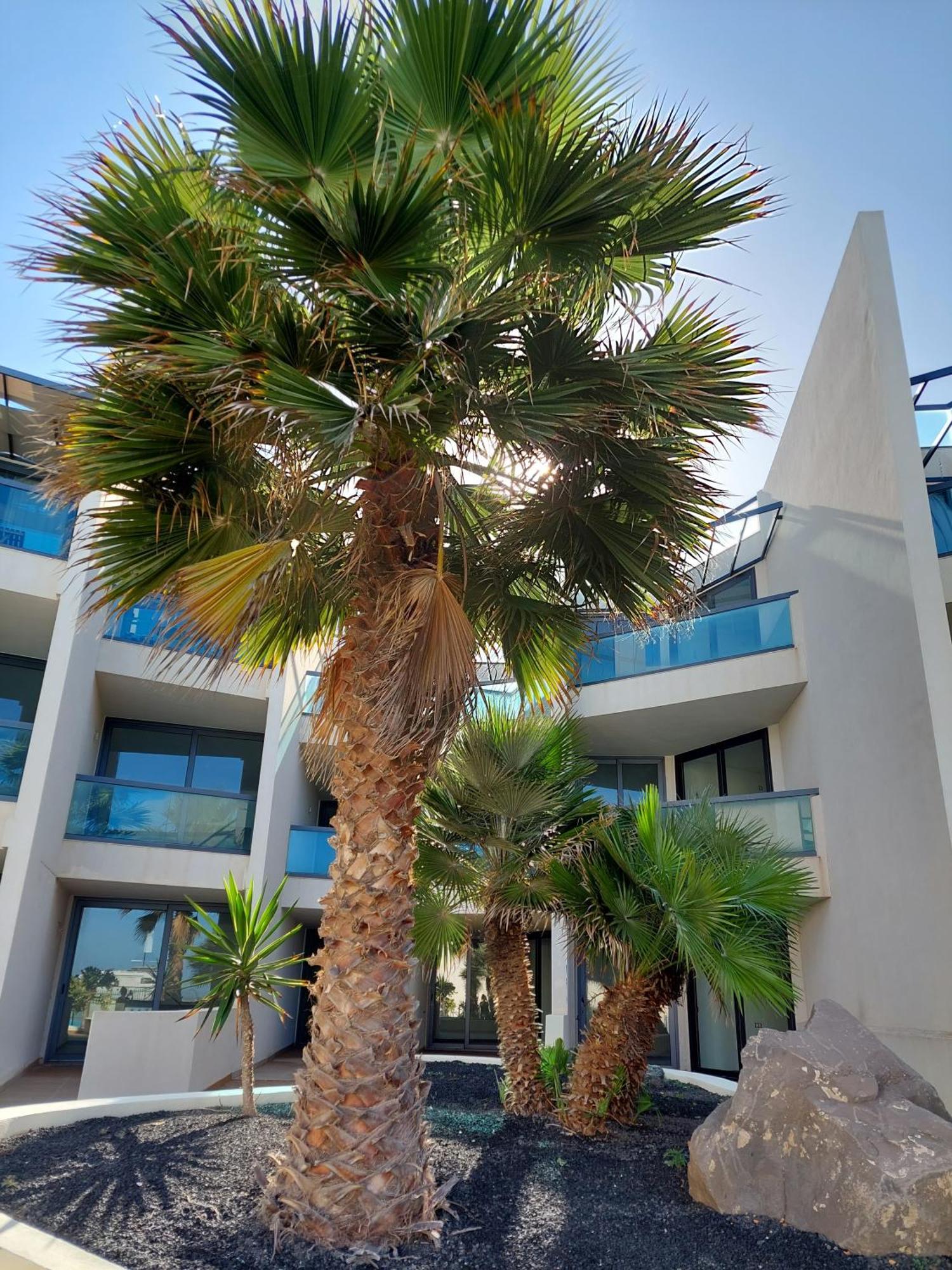 Slow Time Cotillo By Sea You There Fuerteventura Exterior photo